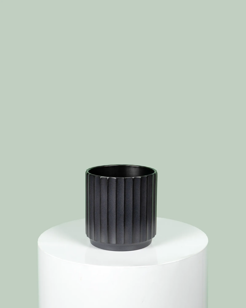 Cedar Cylinder (Black) Pot