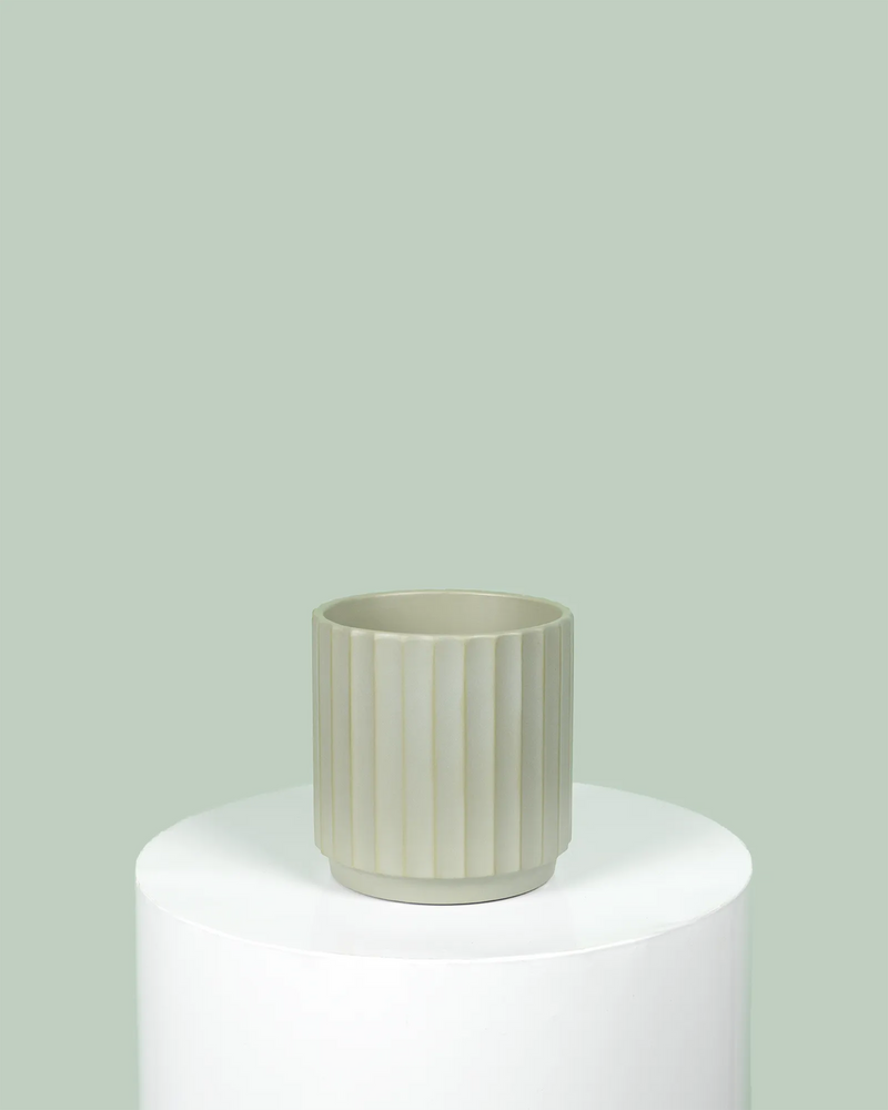 Cedar Cylinder (Sage) Pot