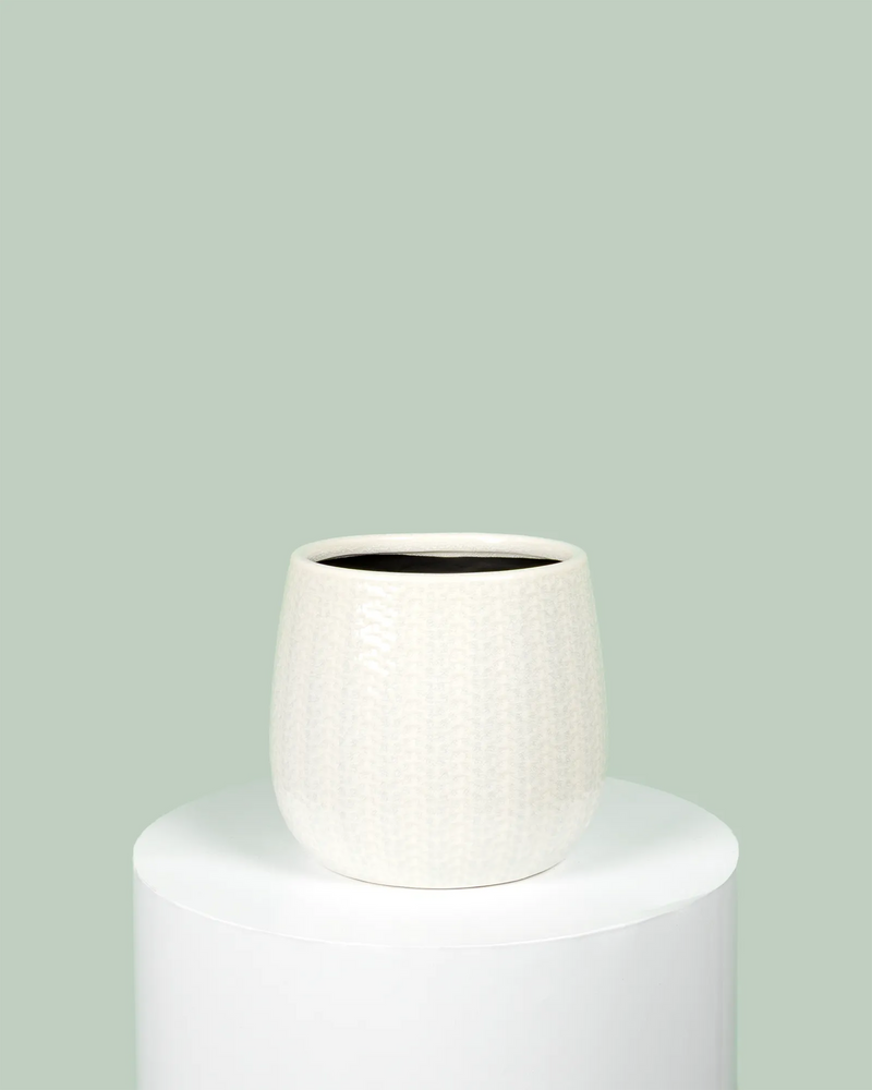 Coastal Pot (White)