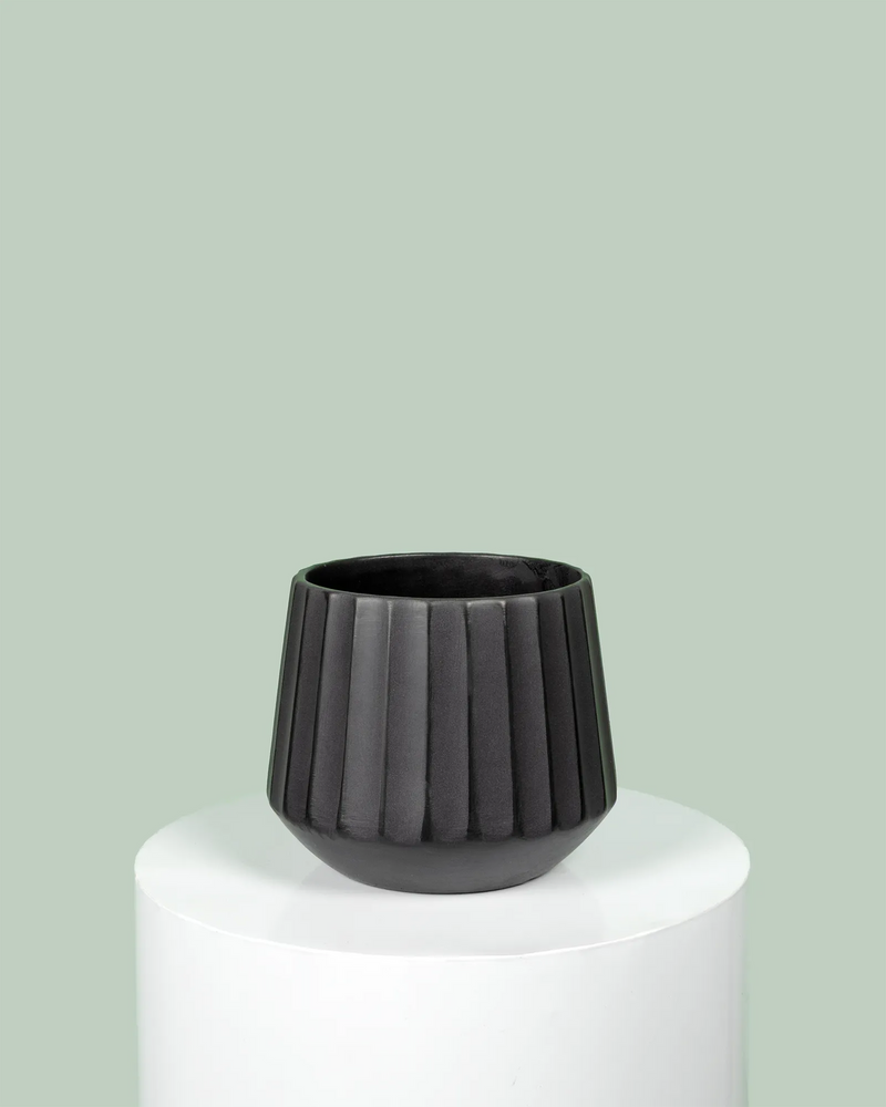 Cove Drum Pot (Black)