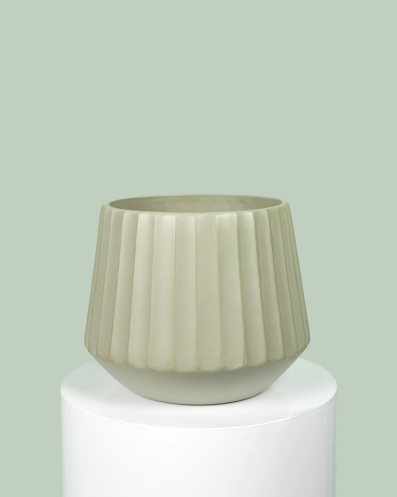 Cove Drum Pot (Sage)